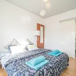 بيت شباب Vistas De *